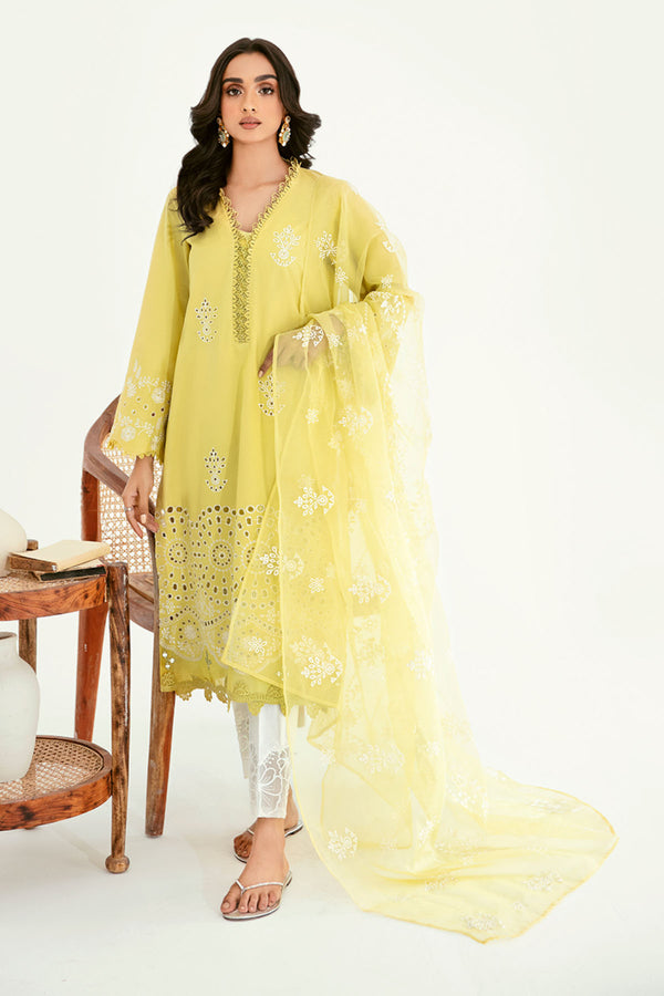 Buy Pakistani summer dresses – Nureh Store